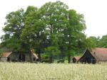 Erve Asbroek